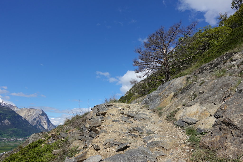 Gampel, Bratsch, Waldachra, Jeizinen (20.05.2021)