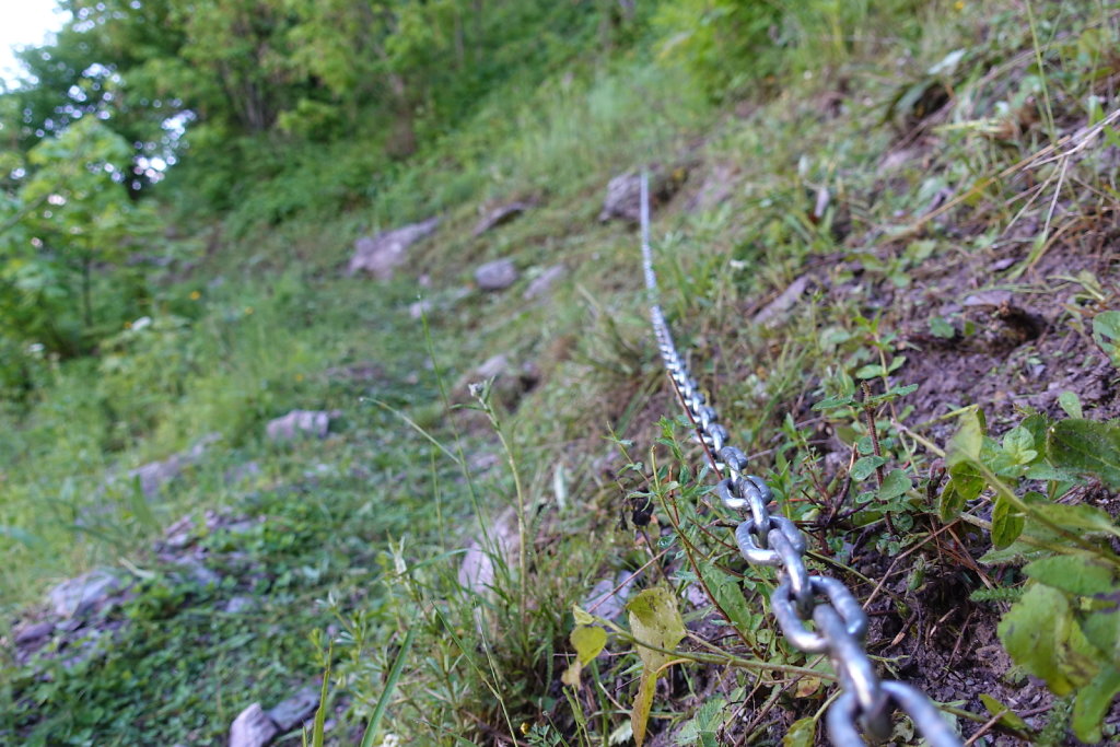 Champex d'Allesse, Plex, La Méreune, La Giette (06.06.2021)