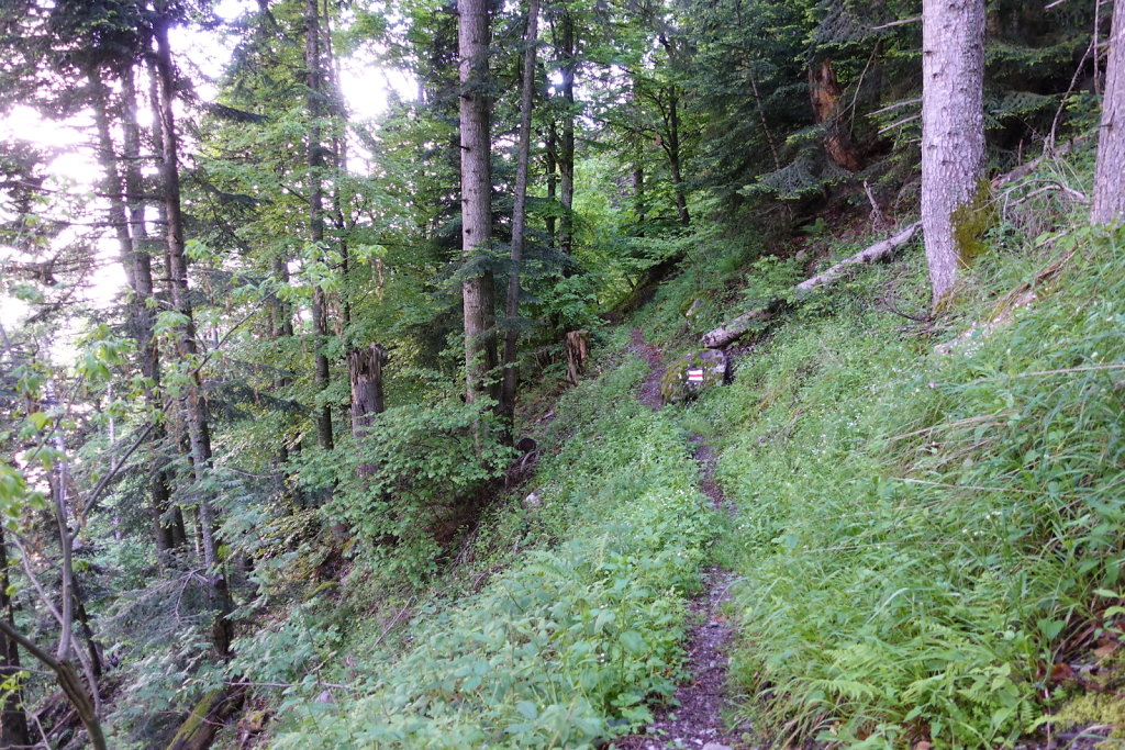 Champex d'Allesse, Plex, La Méreune, La Giette (06.06.2021)