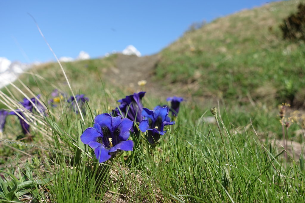 Lacs de Fenêtre (14.06.2021)