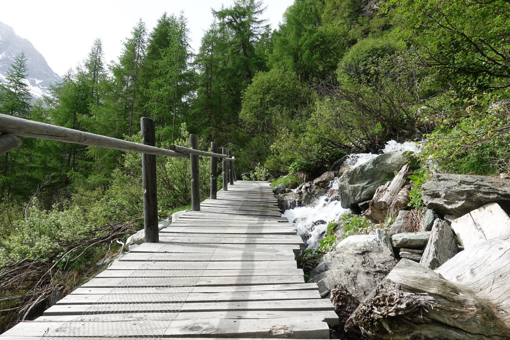 Cabane du Petit Mountet (19.06.2021)