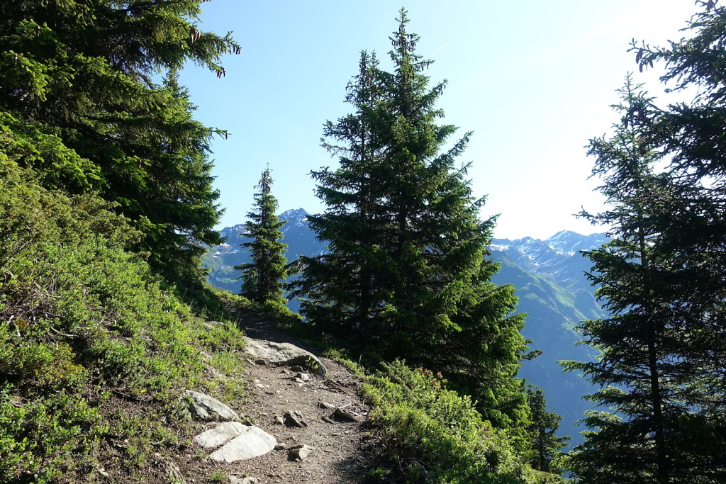 Cabane Brunet, Cabane de Mille (10.07.2021)