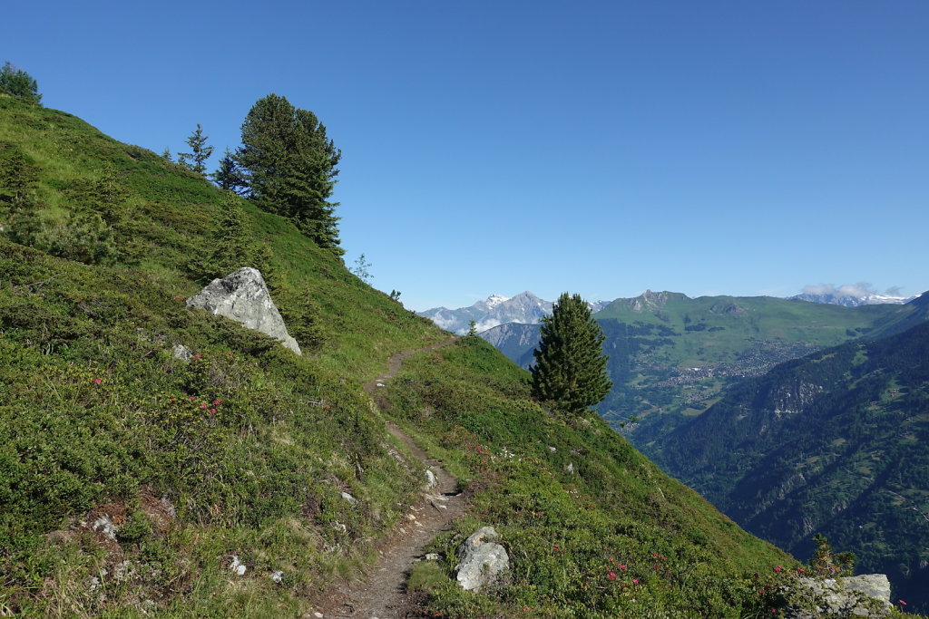 Cabane Brunet, Cabane de Mille (10.07.2021)