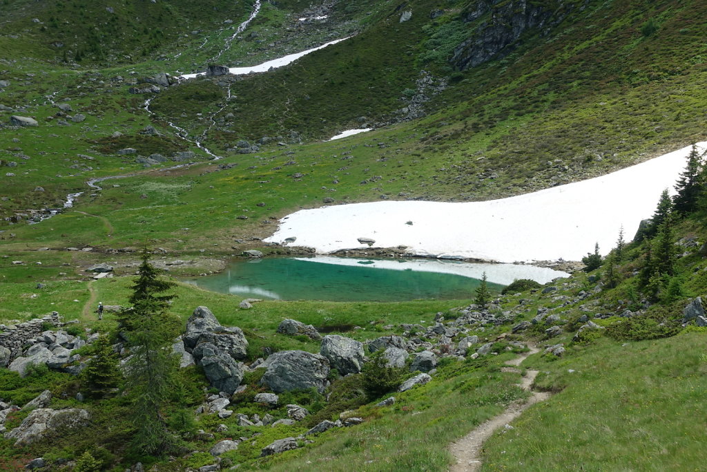 Cabane Brunet, Cabane de Mille (10.07.2021)