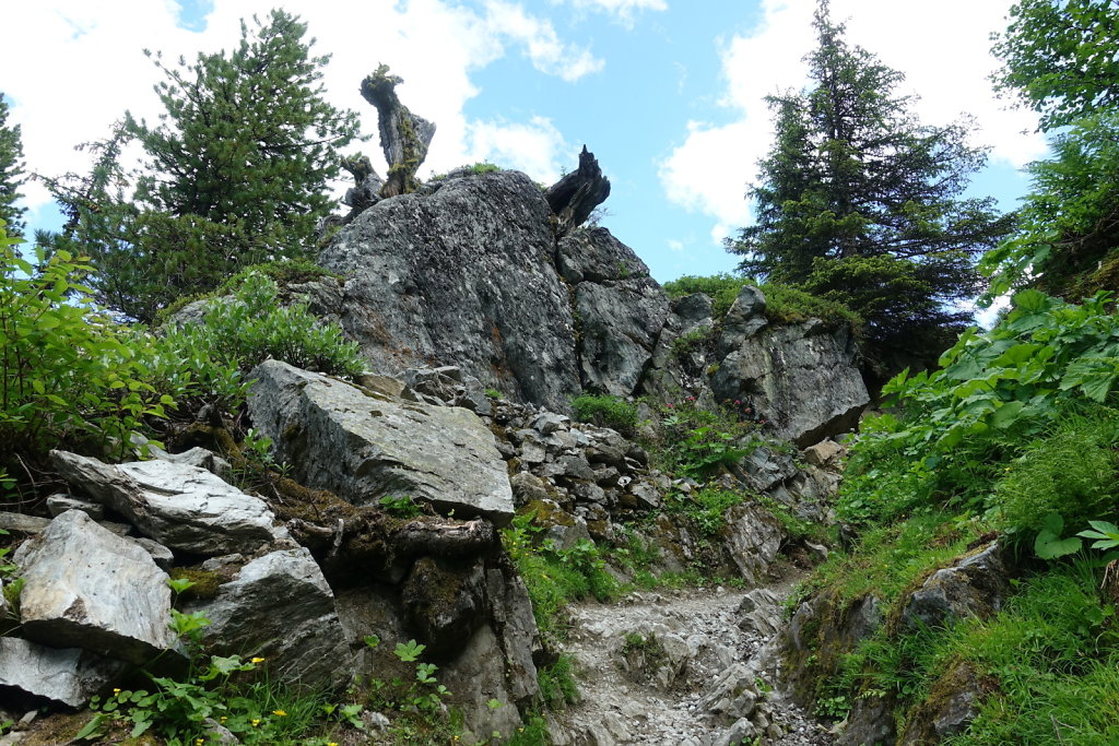 Cabane Brunet, Cabane de Mille (10.07.2021)