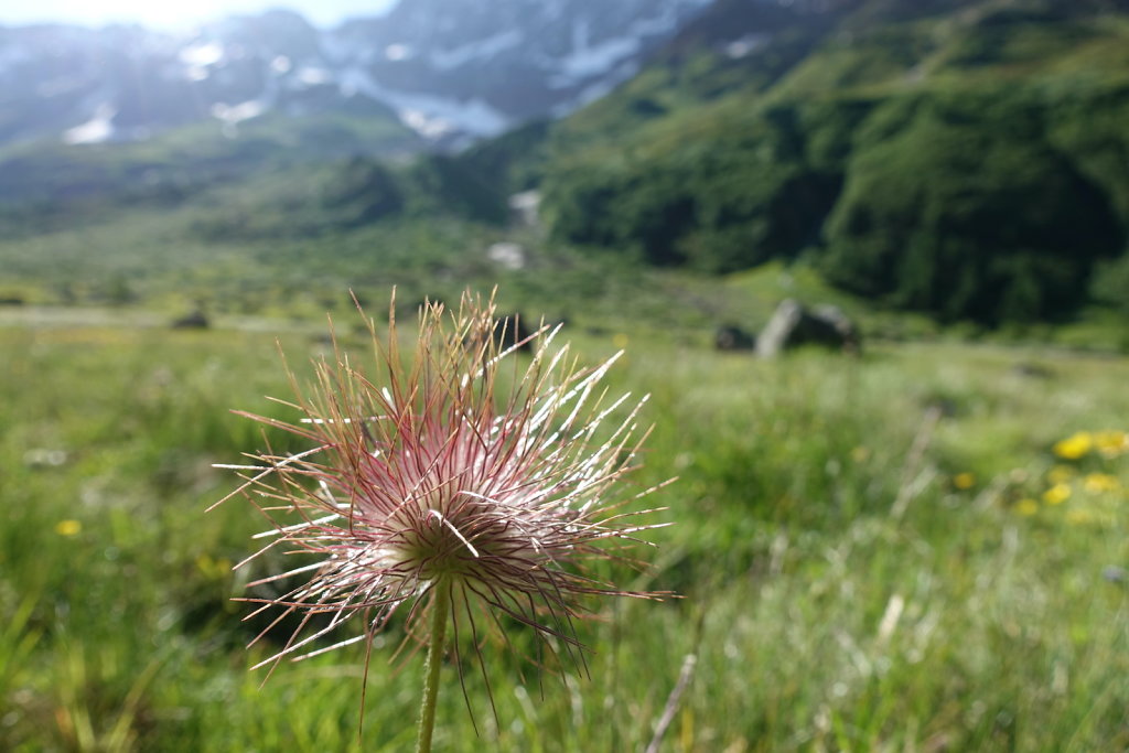 Anenhütte, Lötschental (18.07.2021)