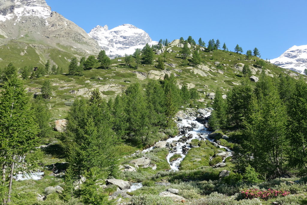 Anenhütte, Lötschental (18.07.2021)