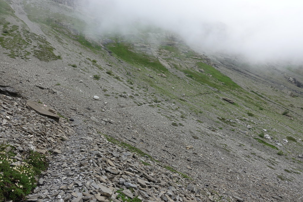 Cabane des Audannes (02.08.2021)