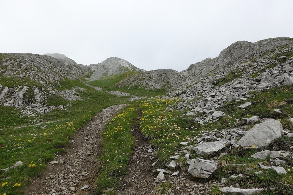 Cabane des Audannes (02.08.2021)