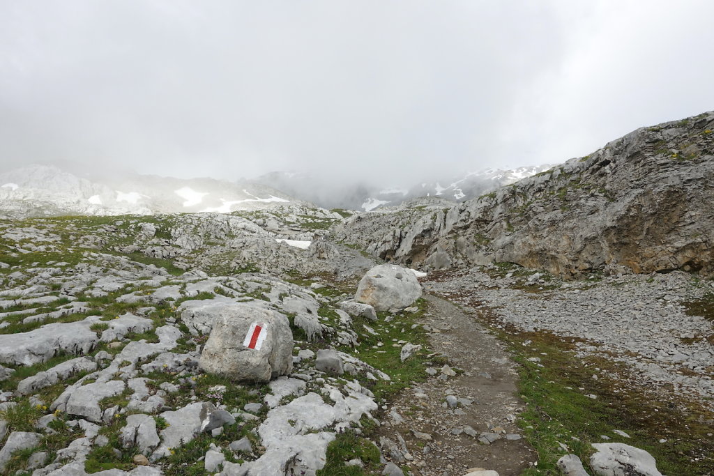 Cabane des Audannes (02.08.2021)