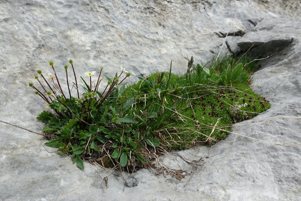 Cabane des Audannes (02.08.2021)