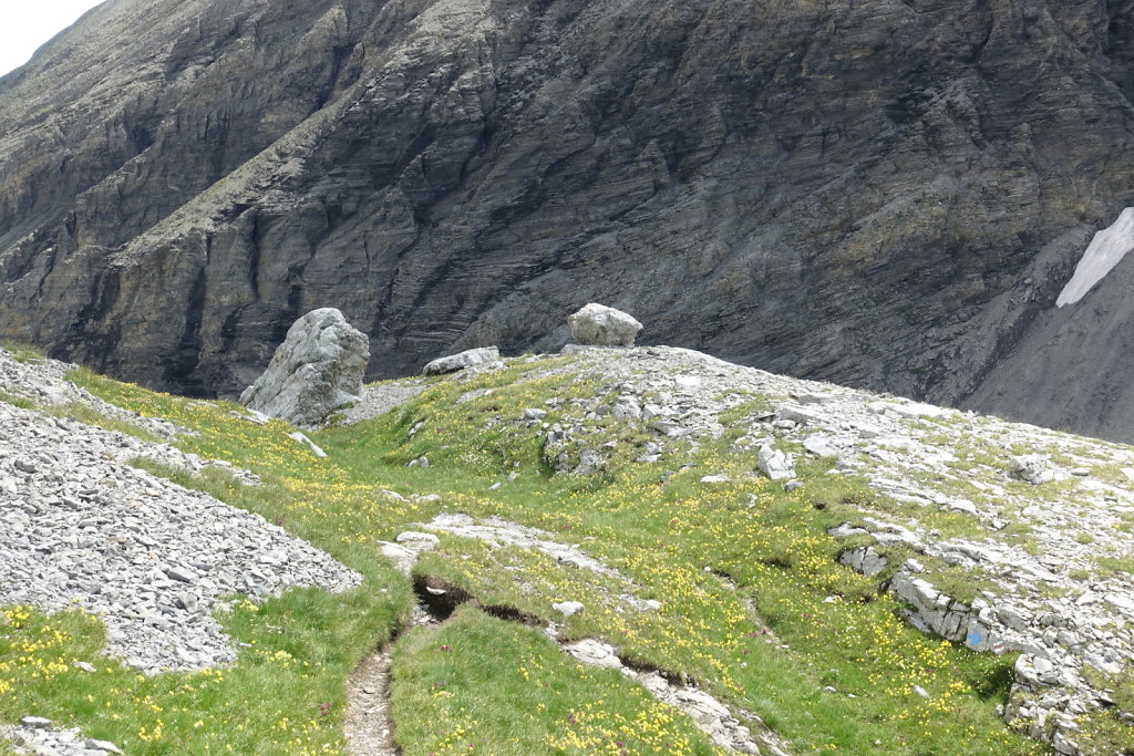 Cabane des Audannes (02.08.2021)