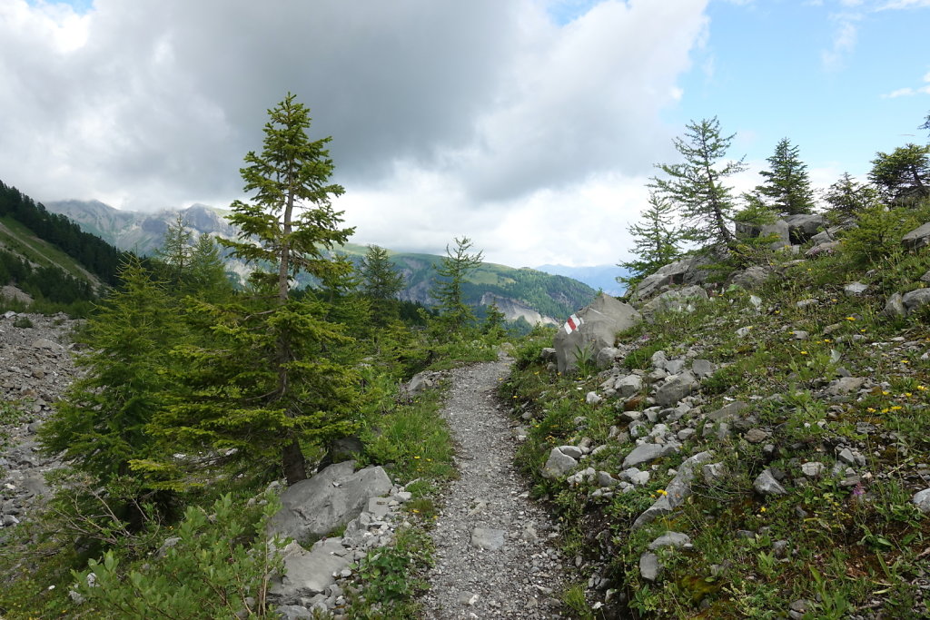 Cabane des Audannes (02.08.2021)