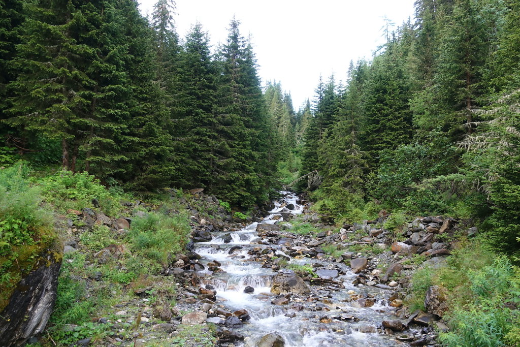 Combe de l'A, Revedin (08.08.2021)