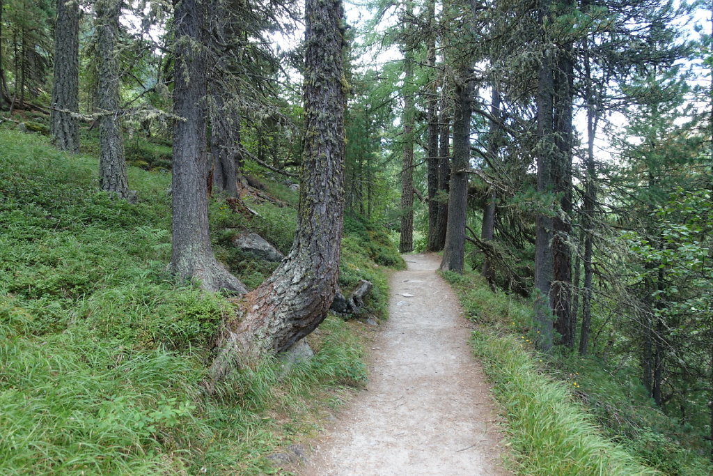 Val Roseg, Grisons (24.08.2021)