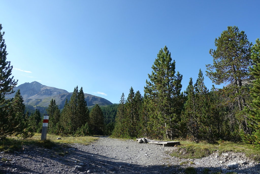 Mont la Schera, Parc National, Grisons (26.08.2021)