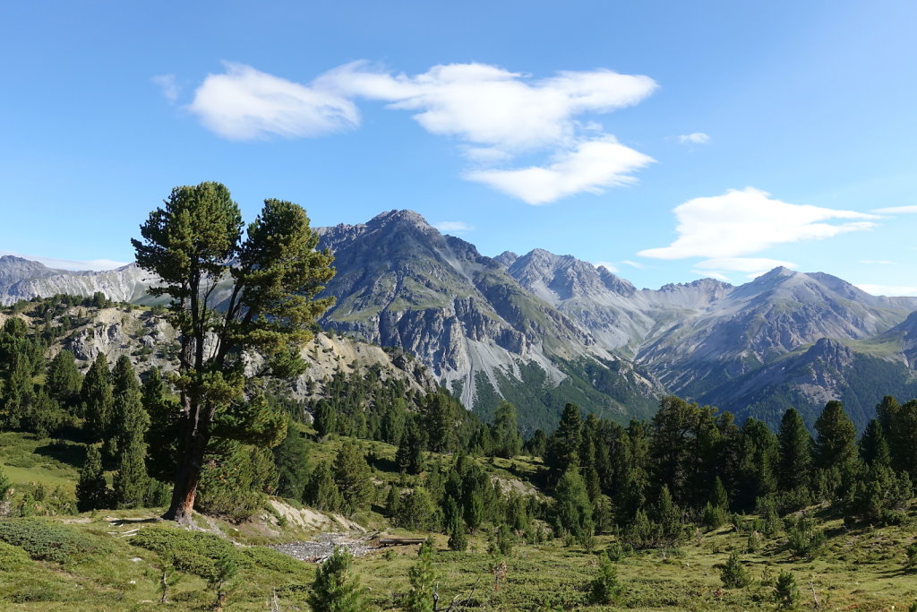 Mont la Schera, Parc National, Grisons (26.08.2021)