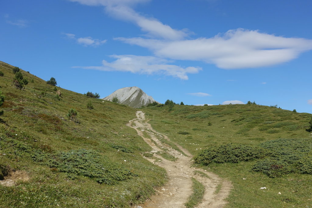 Mont la Schera, Parc National, Grisons (26.08.2021)