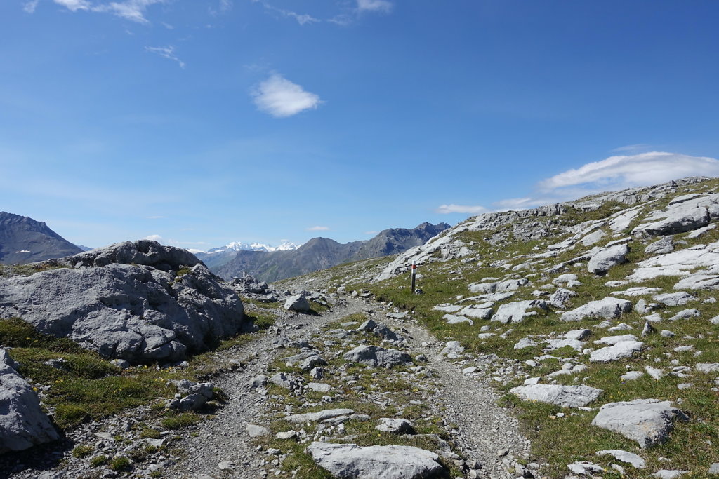 Mont la Schera, Parc National, Grisons (26.08.2021)