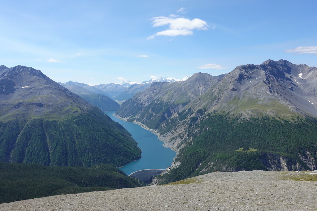 Mont la Schera, Parc National, Grisons (26.08.2021)