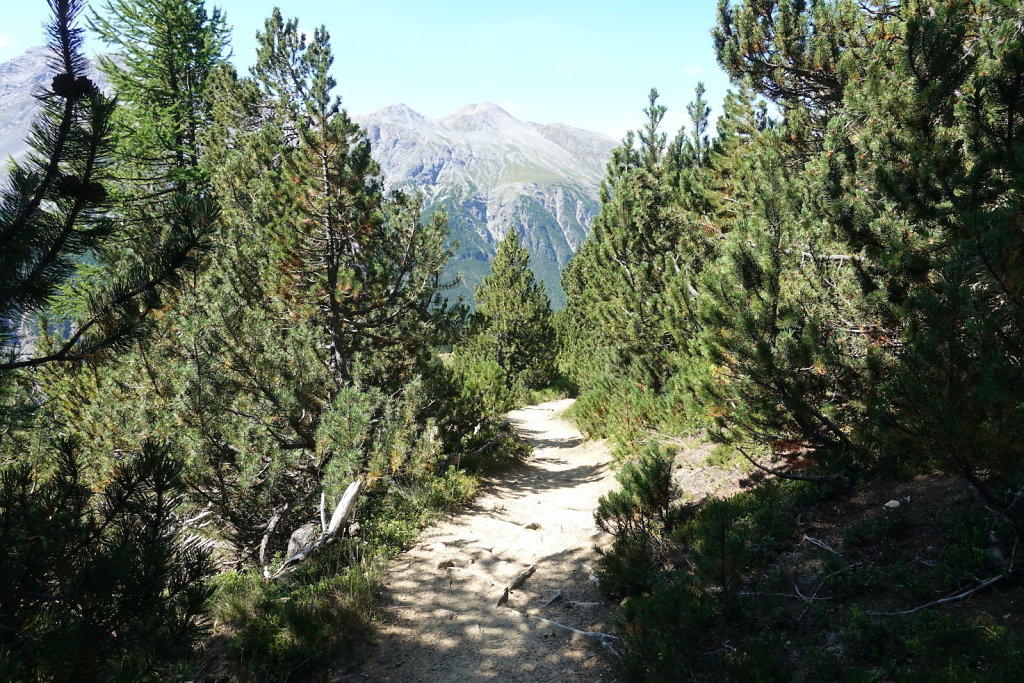 Mont la Schera, Parc National, Grisons (26.08.2021)