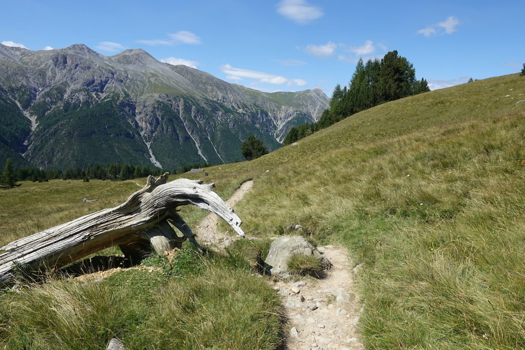 Mont la Schera, Parc National, Grisons (26.08.2021)