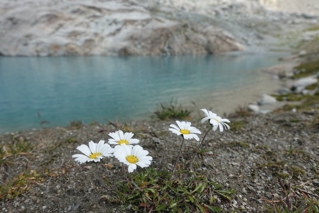 Blauseeli, Lötschental (13.09.2021)