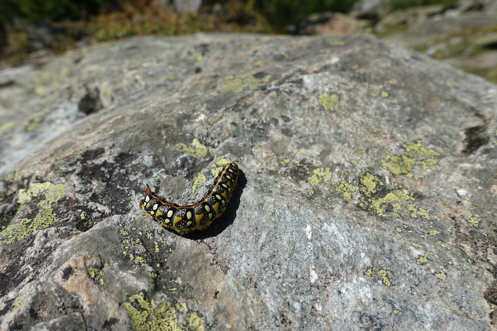 Blauseeli, Lötschental (13.09.2021)