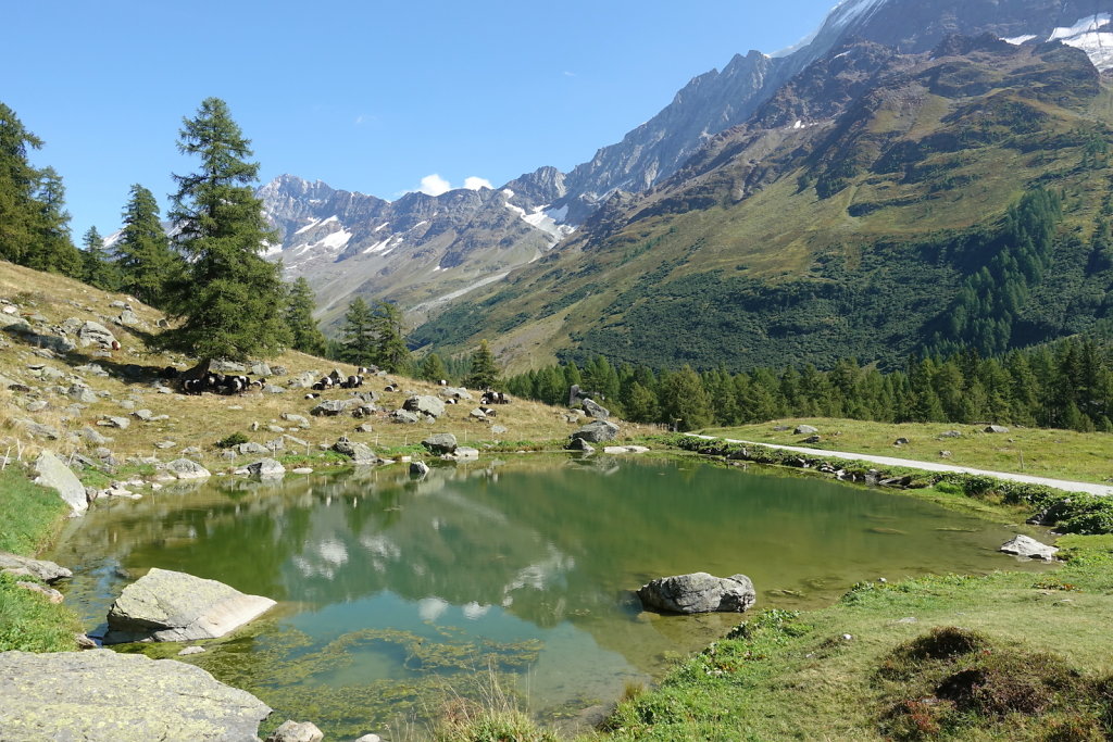 Blauseeli, Lötschental (13.09.2021)