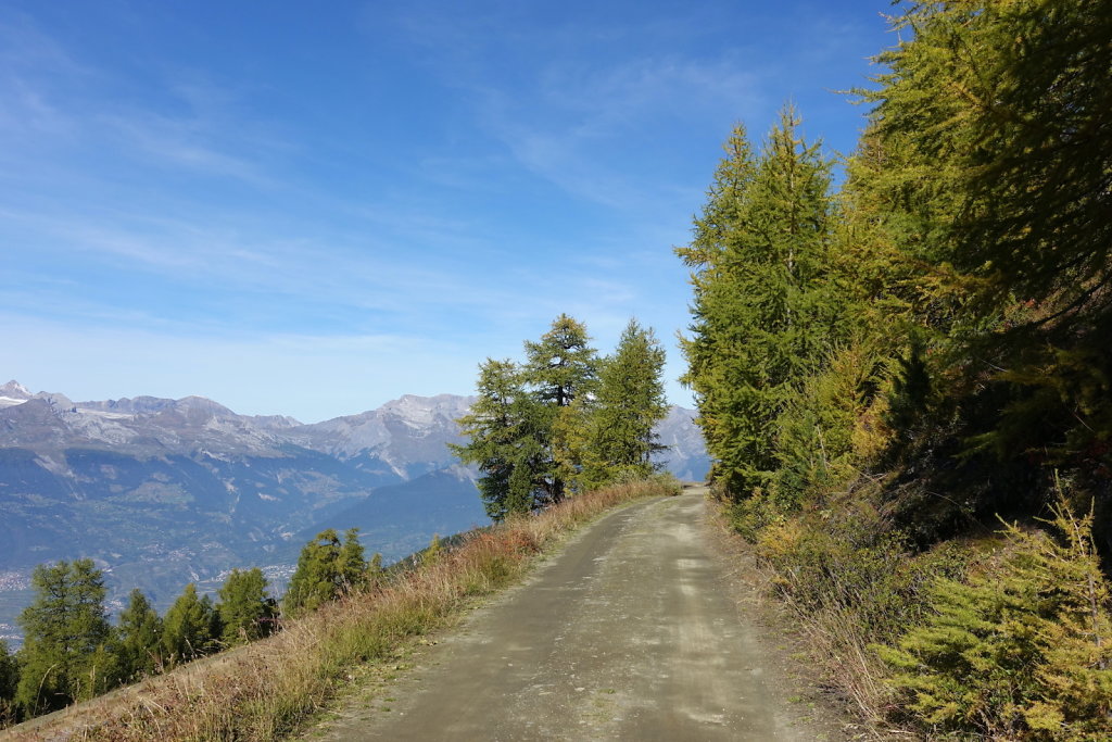 Chemin des crêtes, Thyon 2000, Mont Rouge, Mont Loéré, Crepon Blanc (11.10.2021)