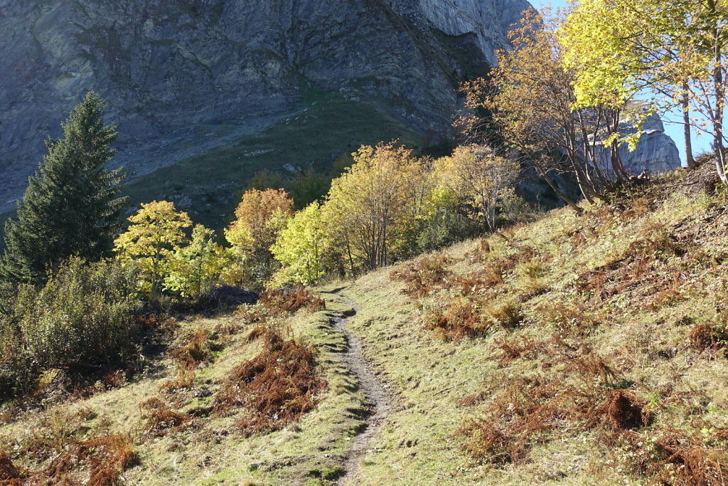 Signal de Bonavau, Grand-Paradis (16.10.2021)