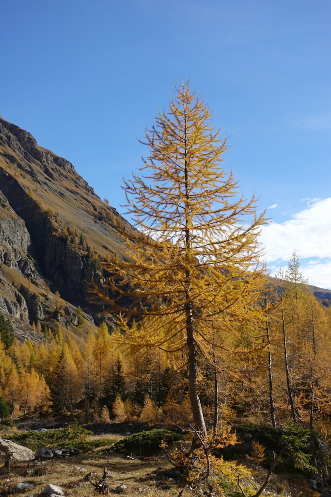 Barrage de Tseuzier (31.10.2021)