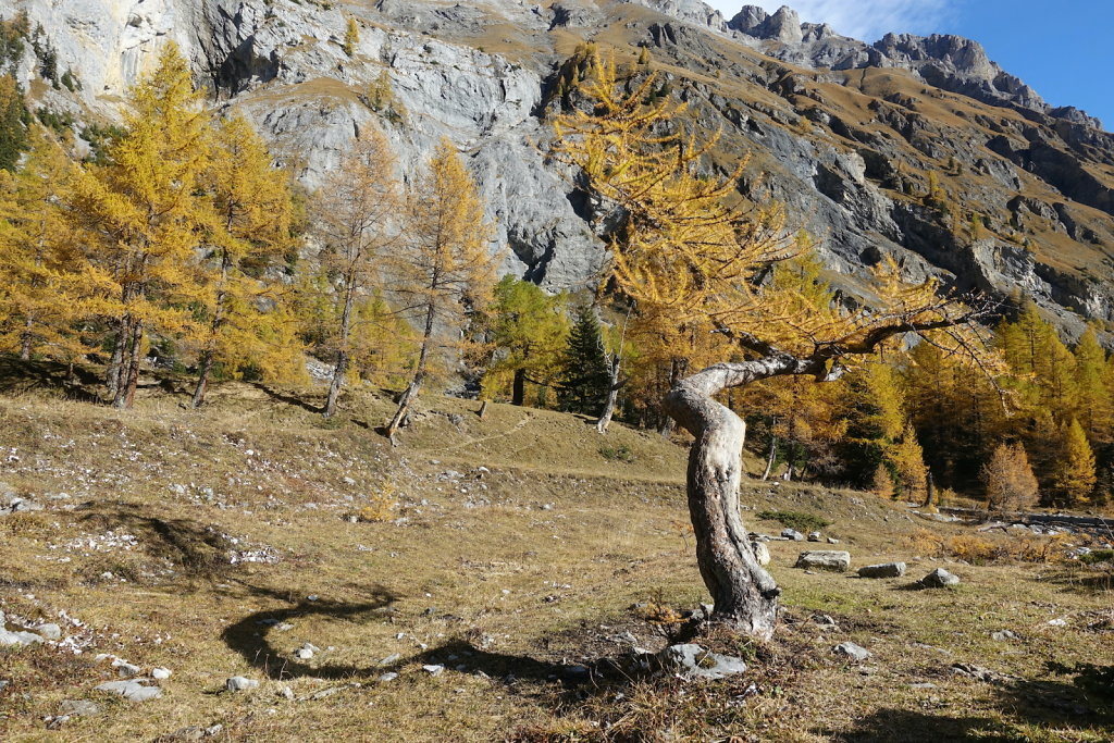 Barrage de Tseuzier (31.10.2021)