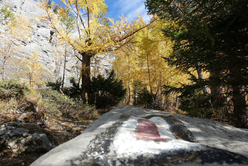 Barrage de Tseuzier (31.10.2021)