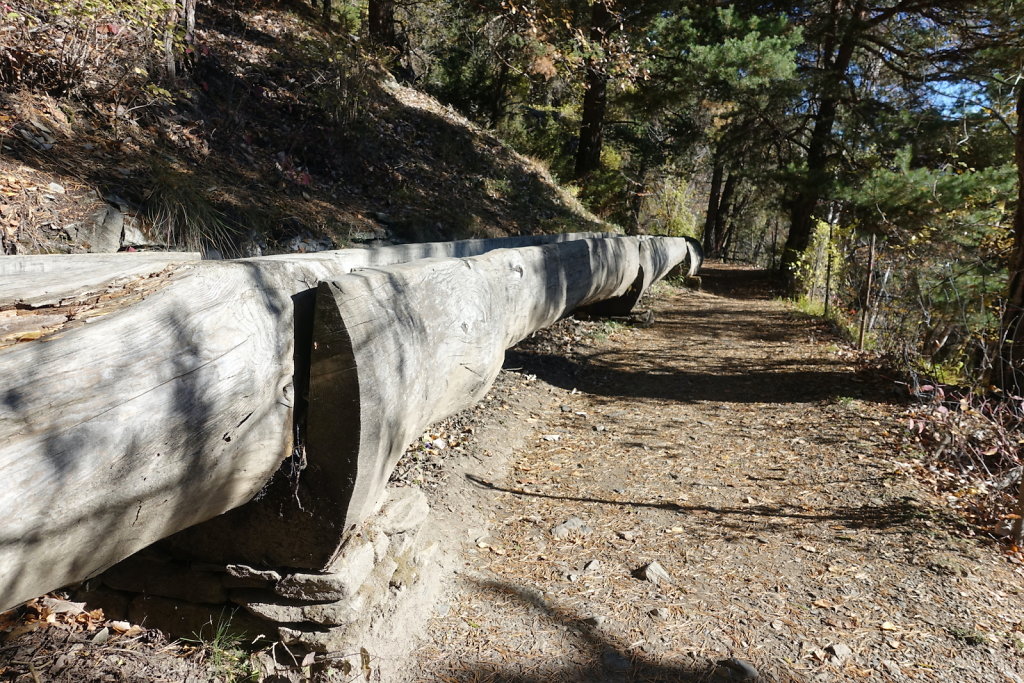 Rampe sud du Lötschberg (06.11.2021)