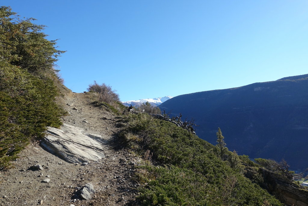 Rampe sud du Lötschberg (06.11.2021)