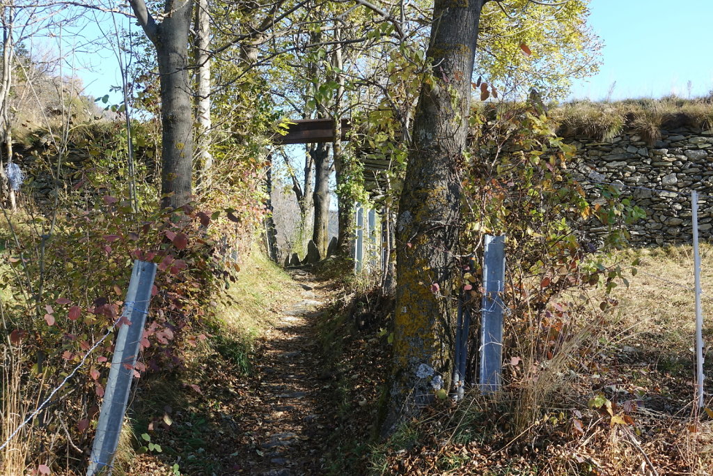 Rampe sud du Lötschberg (06.11.2021)