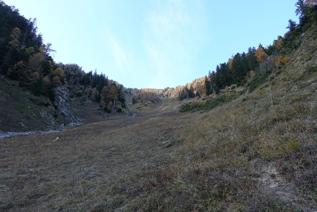 Jeizinen, Stafel, Heruhubel, Meiggu (12.11.2021)