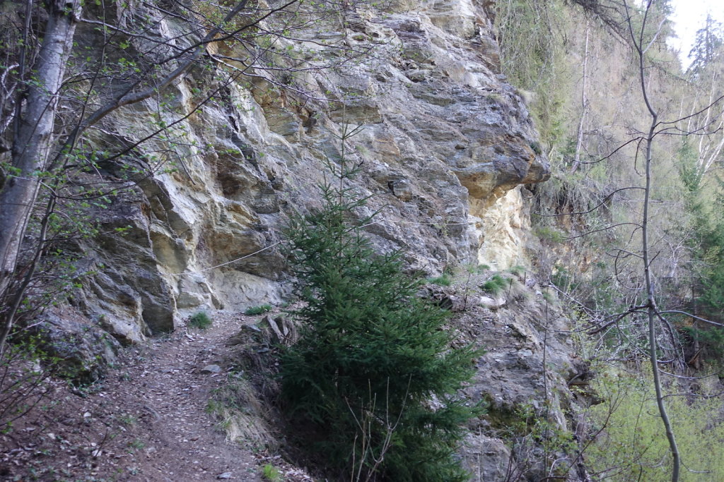 Ergisch - Ärgischer Wasserleitu - Bärensteg - Fätschi - Ergisch (18.04.2022)