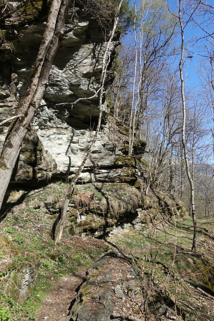 Ergisch - Ärgischer Wasserleitu - Bärensteg - Fätschi - Ergisch (18.04.2022)