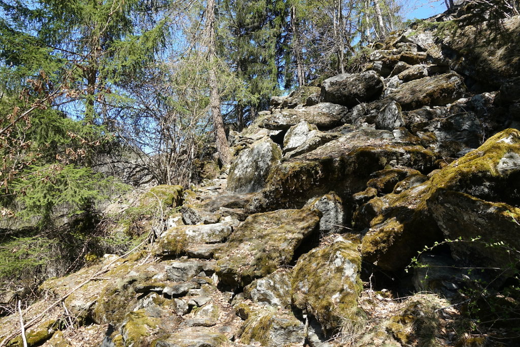 Ergisch - Ärgischer Wasserleitu - Bärensteg - Fätschi - Ergisch (18.04.2022)