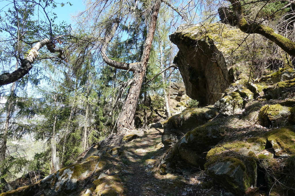 Ergisch - Ärgischer Wasserleitu - Bärensteg - Fätschi - Ergisch (18.04.2022)