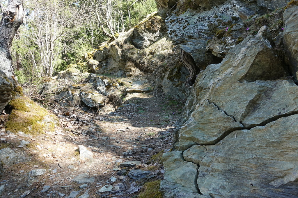 Ergisch - Ärgischer Wasserleitu - Bärensteg - Fätschi - Ergisch (18.04.2022)