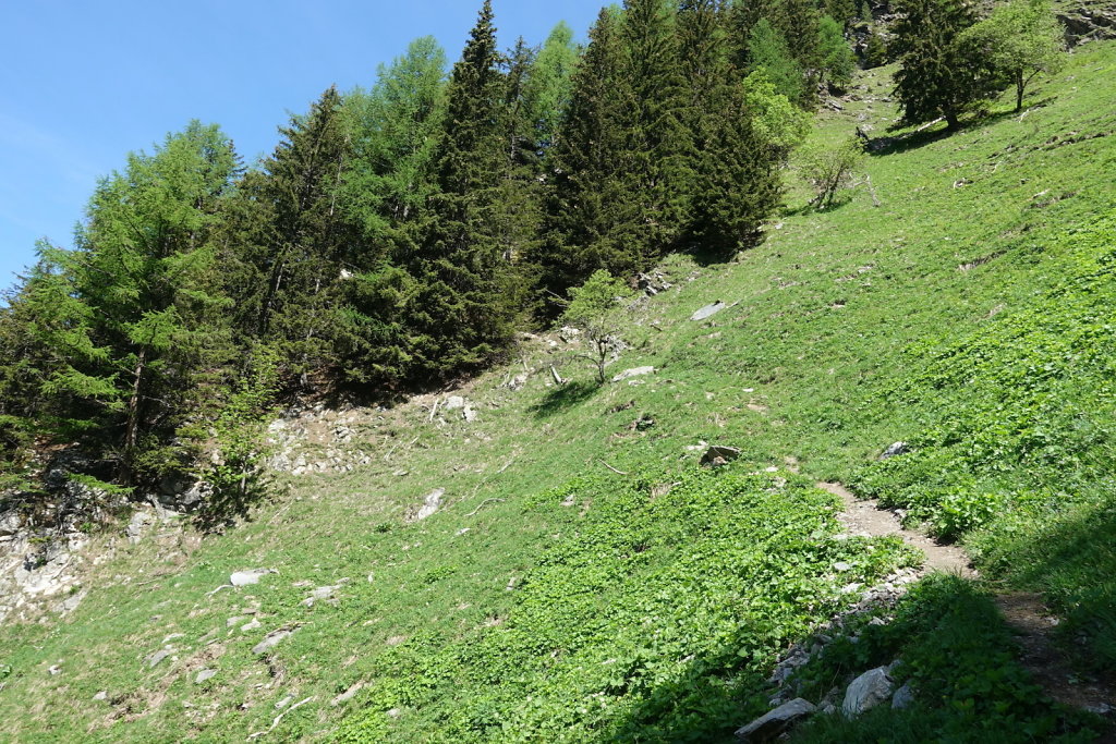 Le Lavancher, Le Chapeau, Têtes de Prapators (27.05.2022)