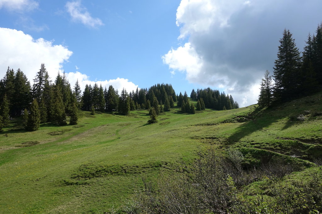 Col de la Croix, Tête de Meilleret, Lac des Chavonnes, Lac de Bretaye (29.05.2022)