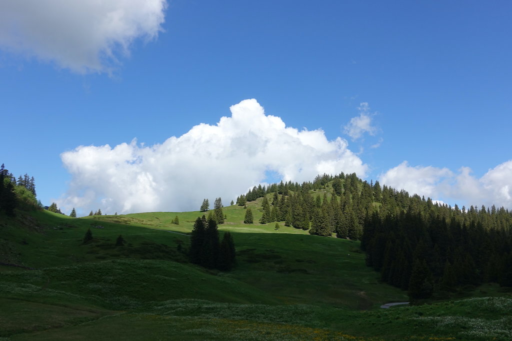 Col de la Croix, Tête de Meilleret, Lac des Chavonnes, Lac de Bretaye (29.05.2022)