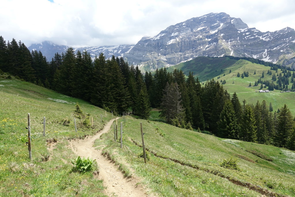 Col de la Croix, Tête de Meilleret, Lac des Chavonnes, Lac de Bretaye (29.05.2022)