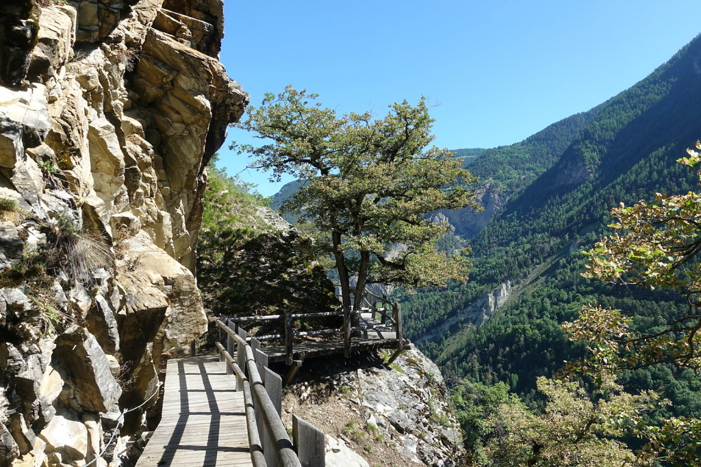 Bisse des Sarrasins (06.06.2022)