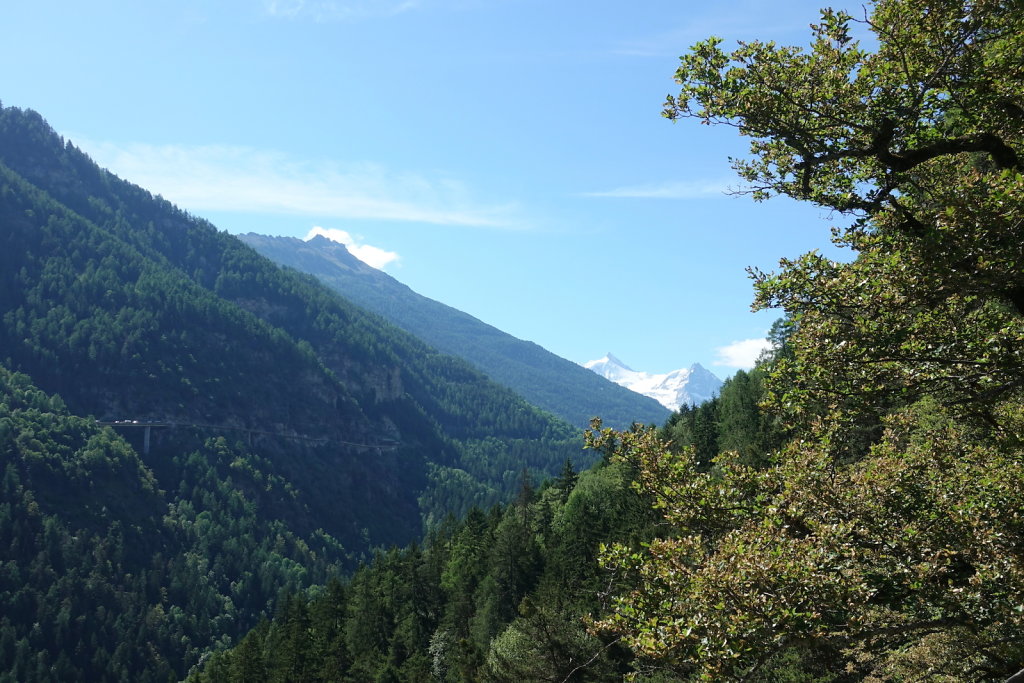 Bisse des Sarrasins (06.06.2022)