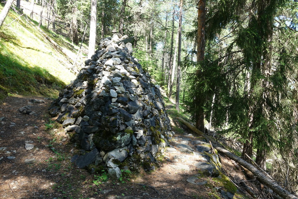 Bisse des Sarrasins (06.06.2022)